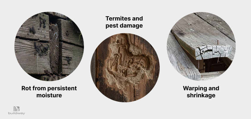 Three common wood building issues: rot from moisture, termite and pest damage, and warping or shrinkage of wood components.