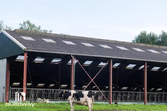 Column image 1 elementor io optimized 9