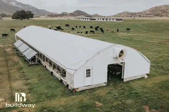 Column image 4 elementor io optimized